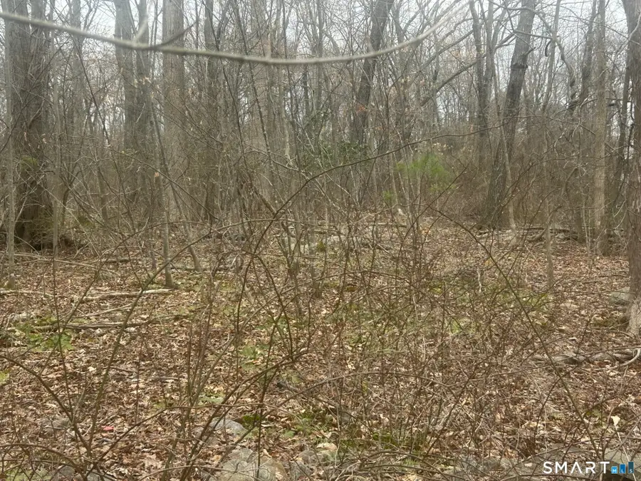 14 Juniper Drive #13,14, Coventry, CT 06238 - #3