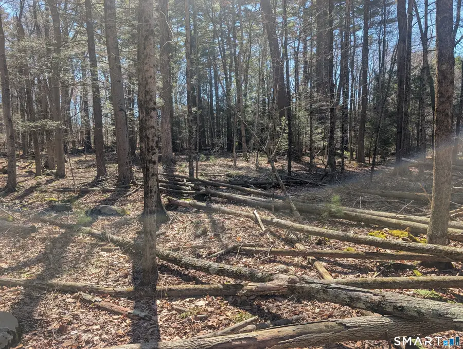 3222 Torringford Street, Torrington, CT 06790 - #2