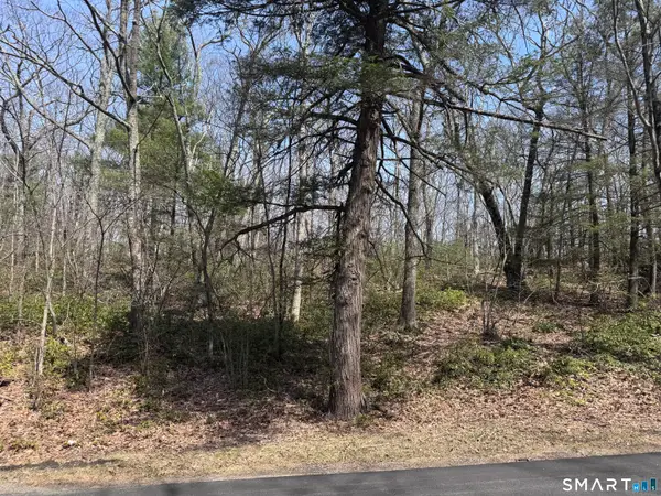 Windy Ridge Road, Warren, CT 06754