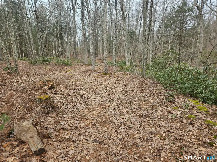 Windy Ridge Road, Warren, CT 06754 - #3