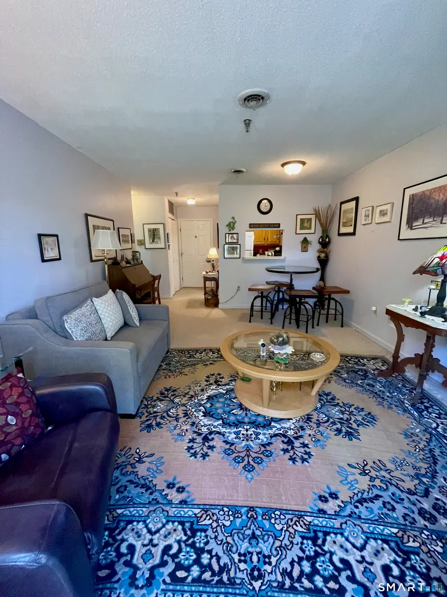 625 Palisado Avenue #313, Windsor, CT 06095 - #3