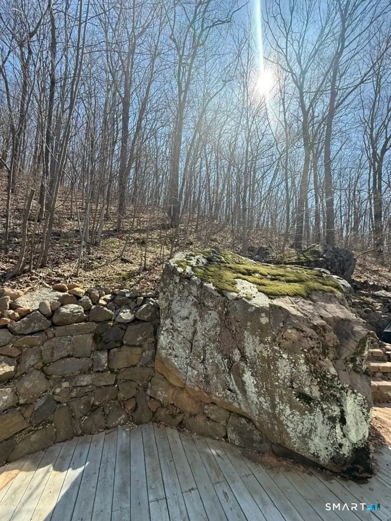 16 Fox Road, Plainville, CT 06062 - #3