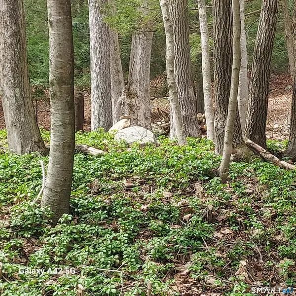 Merrow Road, Coventry, CT 06238