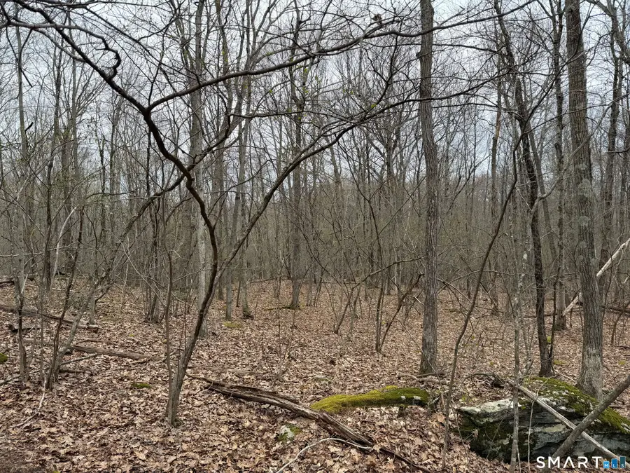 184B Kent Road, Warren, CT 06754 - #2