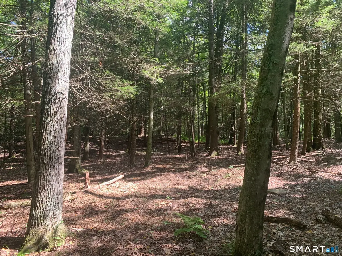 Lot 1 West Chalybes Road, Roxbury, CT 06783 - #1
