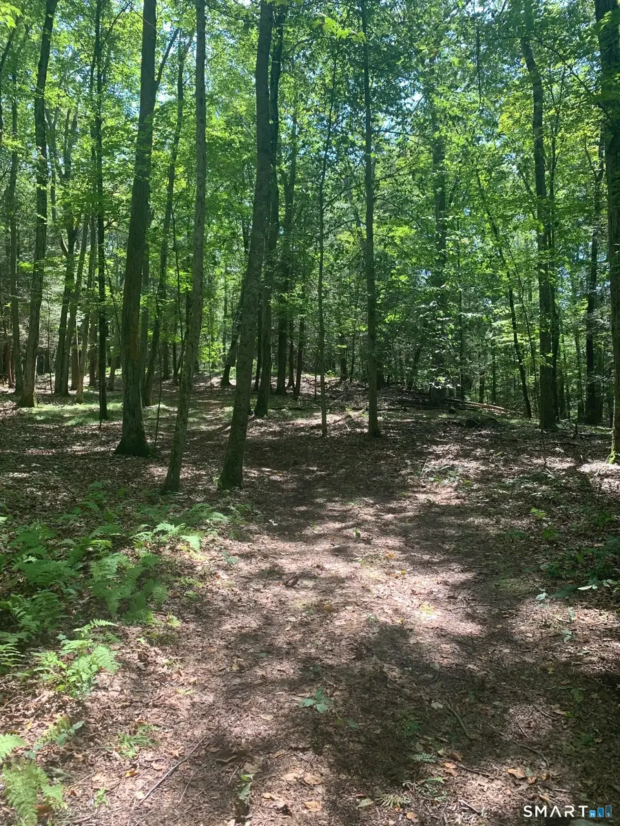 Lot 1 West Chalybes Road, Roxbury, CT 06783 - #2