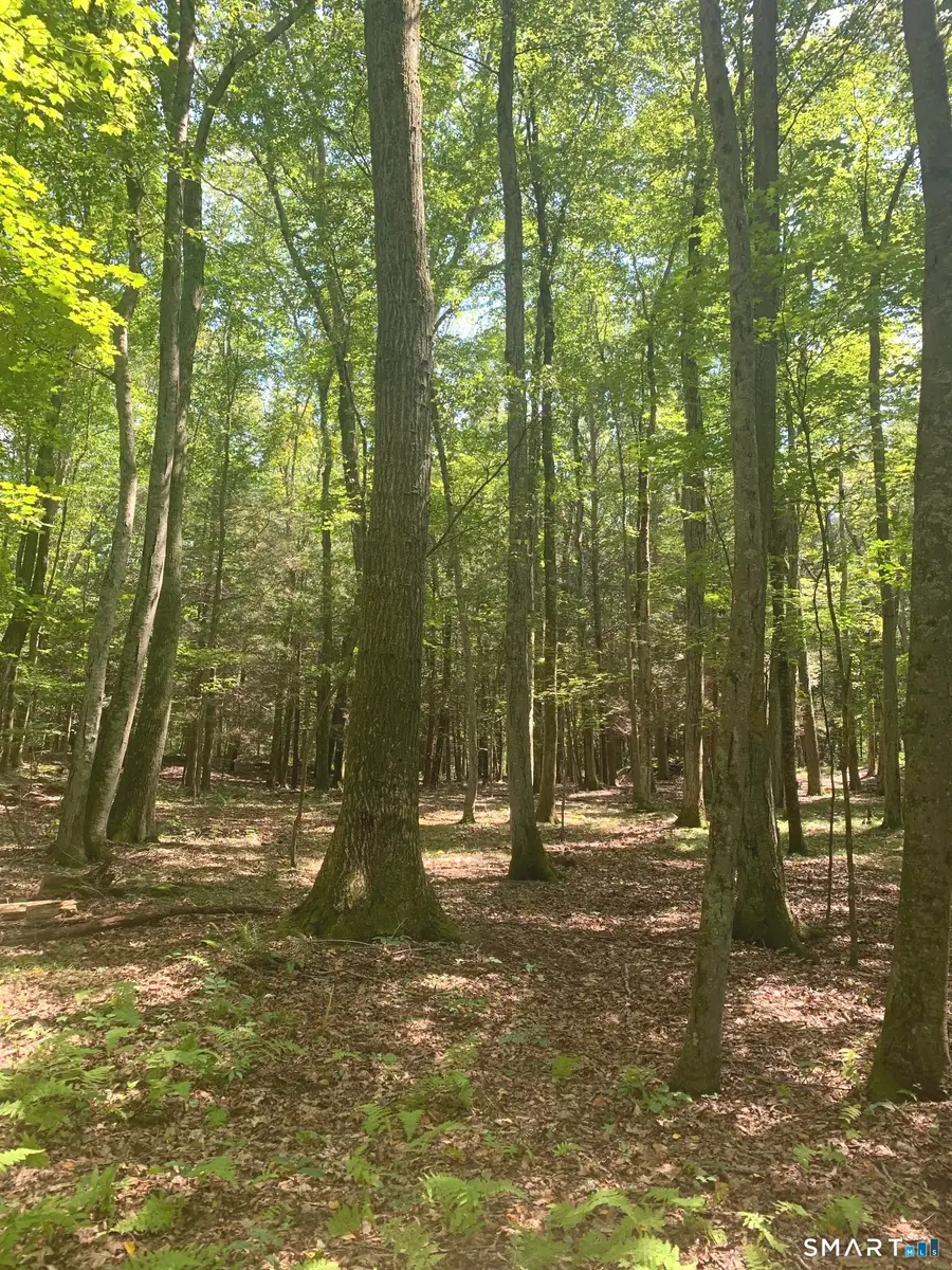 Lot 1 West Chalybes Road, Roxbury, CT 06783 - #3