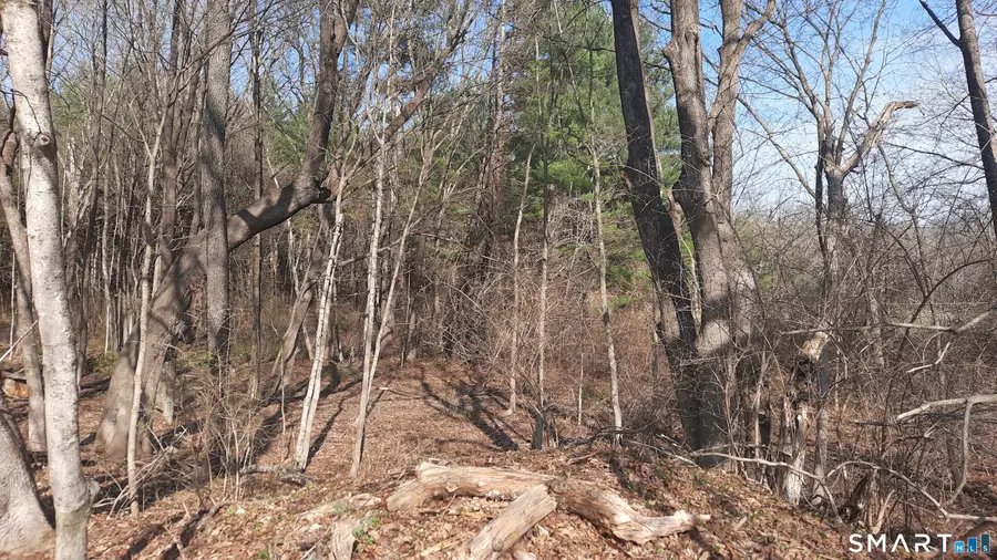 Wauregan Road, Brooklyn, CT 06234 - #2