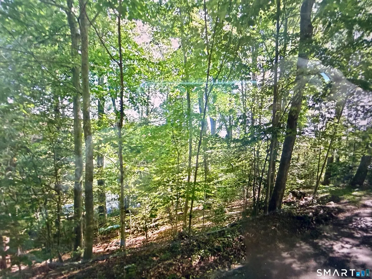 117 Blue Street, Winchester, CT 06098 - #1
