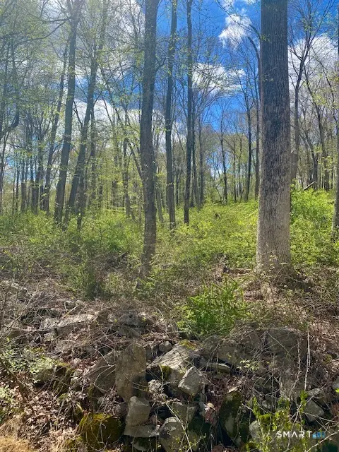 0 Clark Hill Road, East Haddam, CT 06423 - #2
