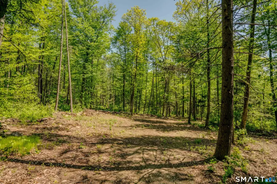 47 Stagecoach Run, East Hampton, CT 06424 - #2