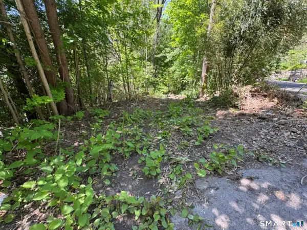 0 Wooster Street, Naugatuck, CT 06770