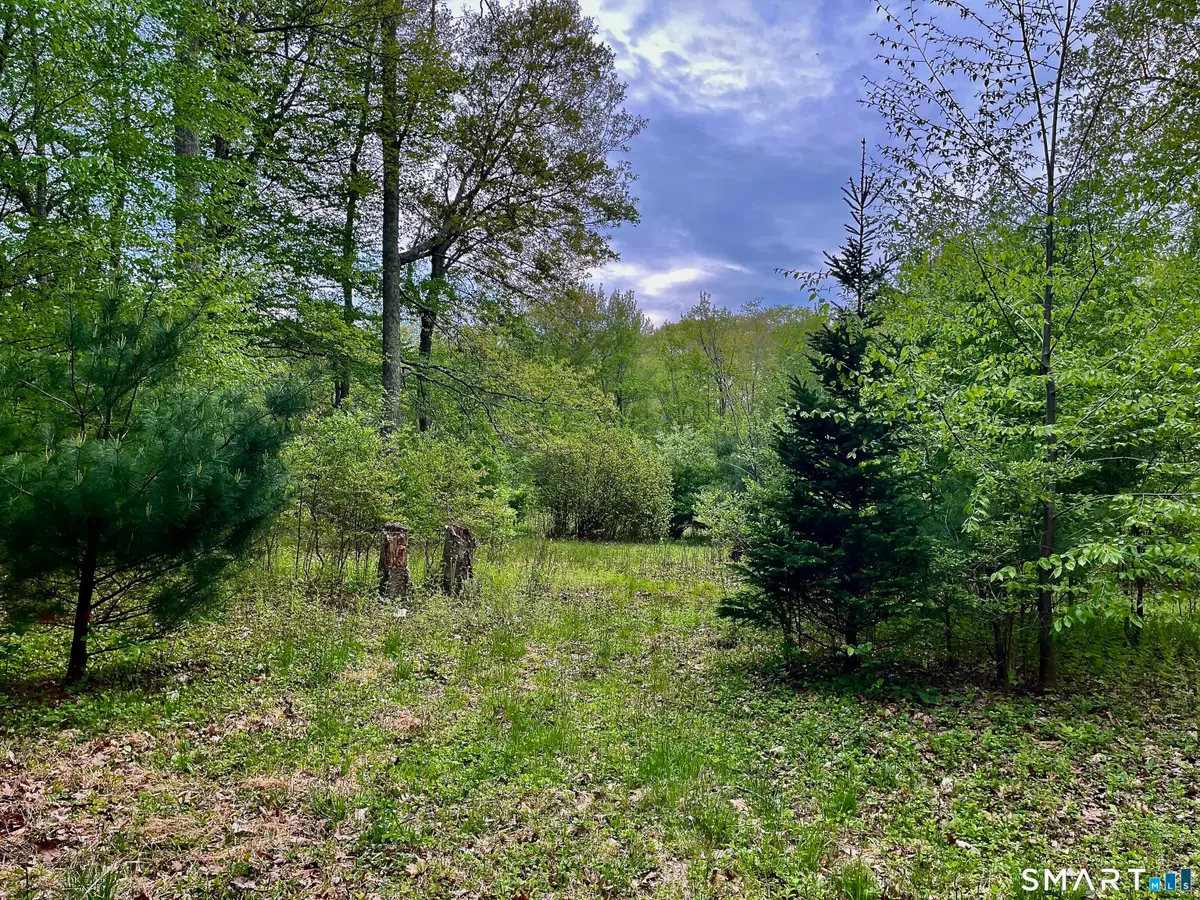 Meadow Brook Road, Amston, CT 06231 - #1