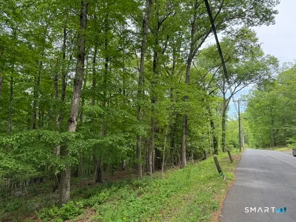 LOT10-B1 Foot Hills Road, Haddam, CT 06438