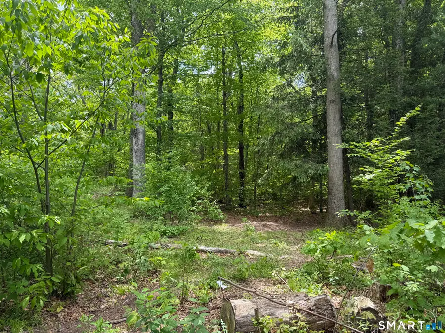 North Street, Plymouth, CT 06782 - #2