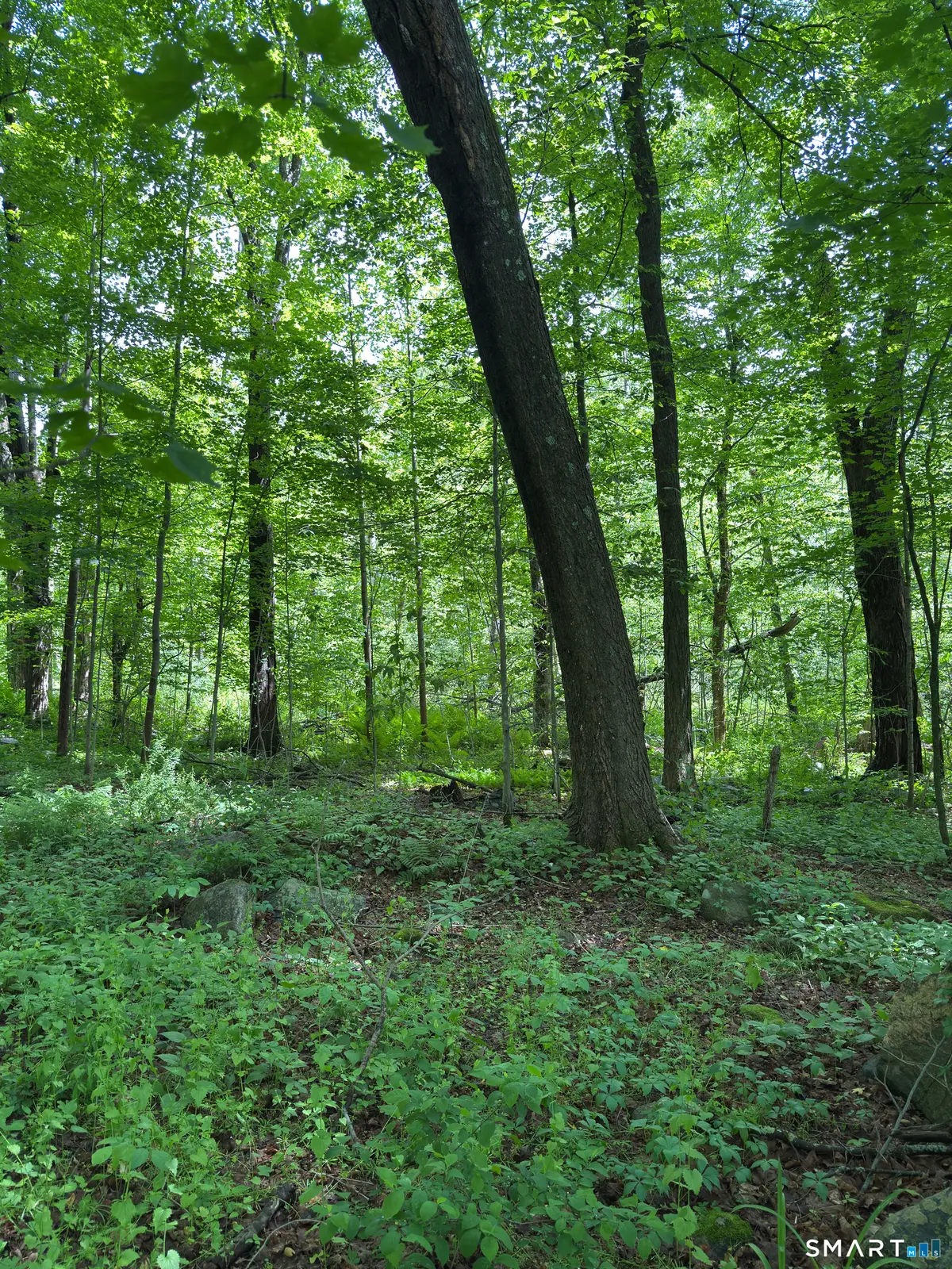 319 White Oak Trail, Winchester, CT 06098 - #1