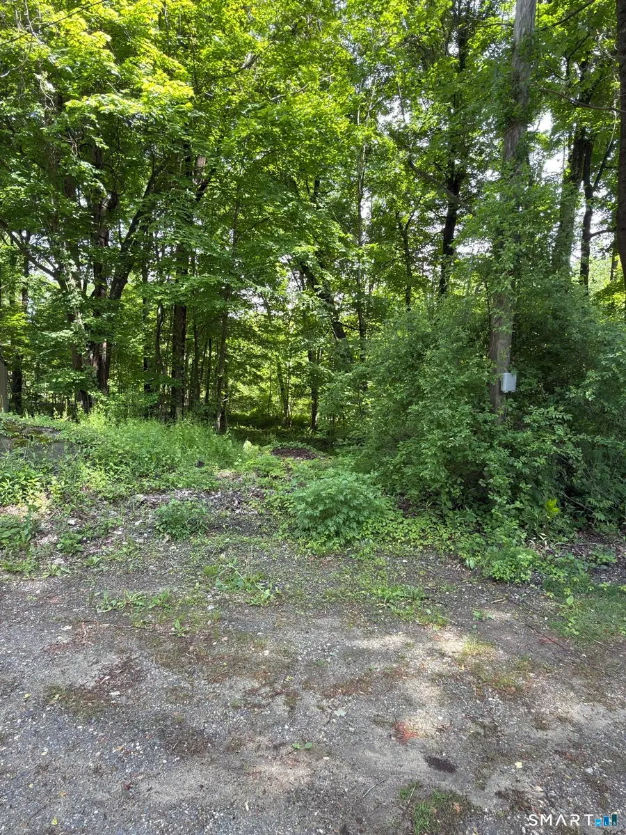 319 White Oak Trail, Winchester, CT 06098 - #3