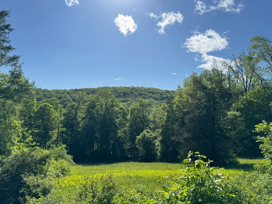 Rte 39 South, State Route, Sherman, CT 06784 - #2