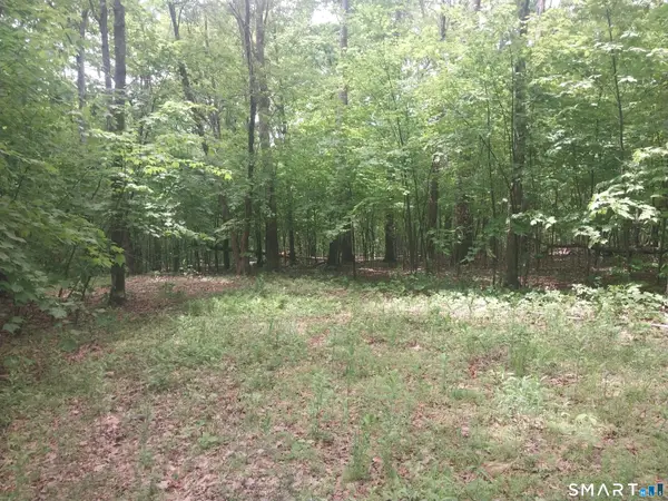 Mount Mauwee Road, Kent, CT 06757