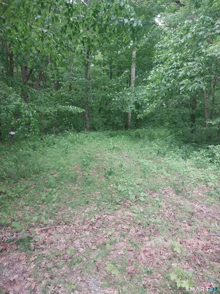 Mount Mauwee Road, Kent, CT 06757 - #3