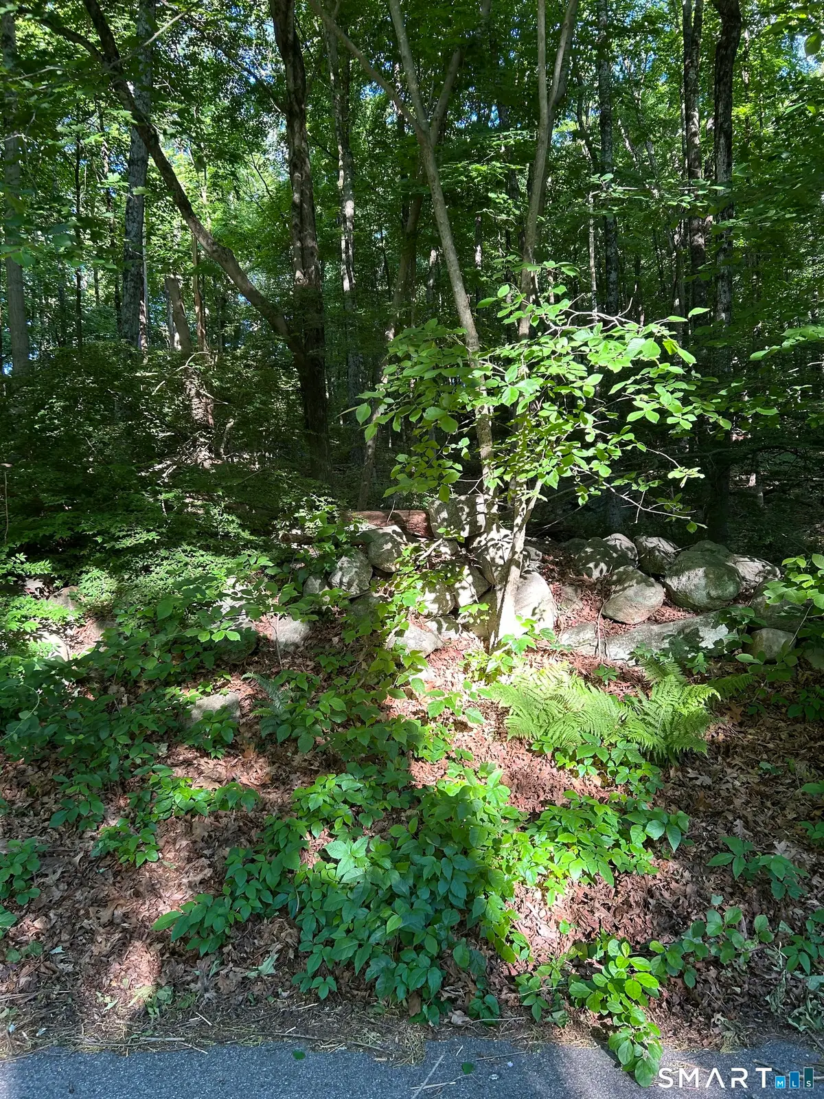Cobbs Mill Road, Wilton, CT 06897 - #1