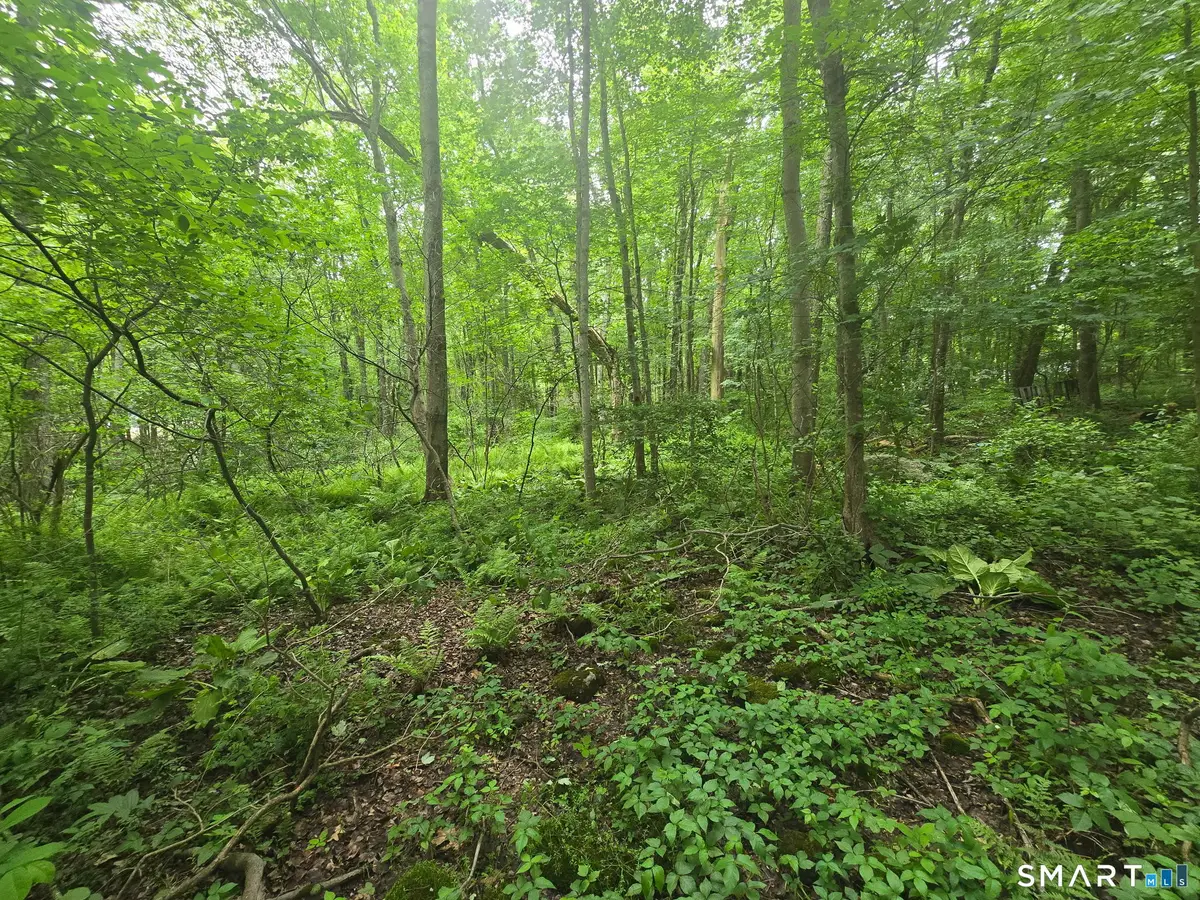 Boston Road, Andover, CT 06232 - #1