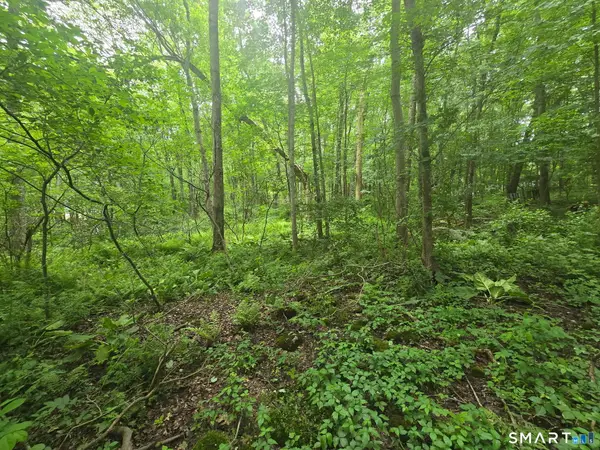 Boston Road, Andover, CT 06232