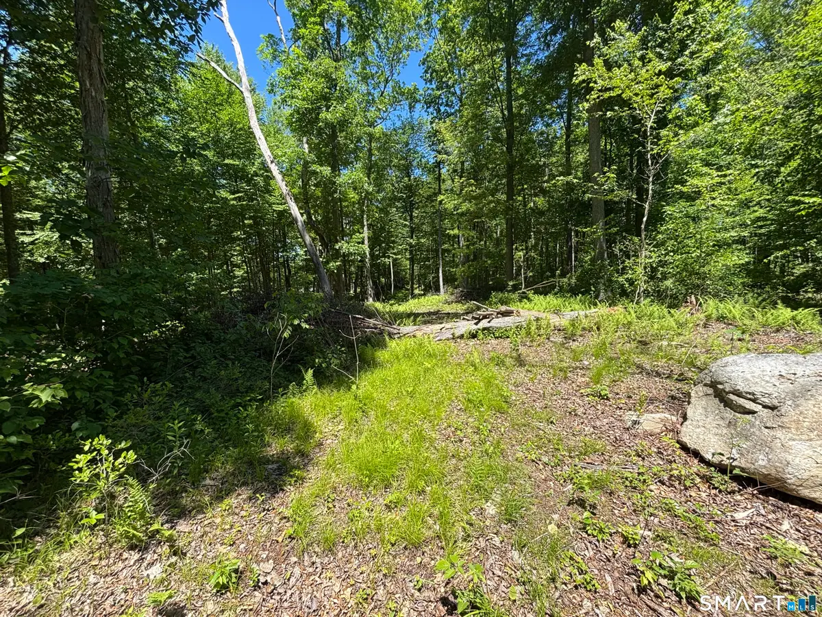 295 Providence Turnpike, Hampton, CT 06247 - #1