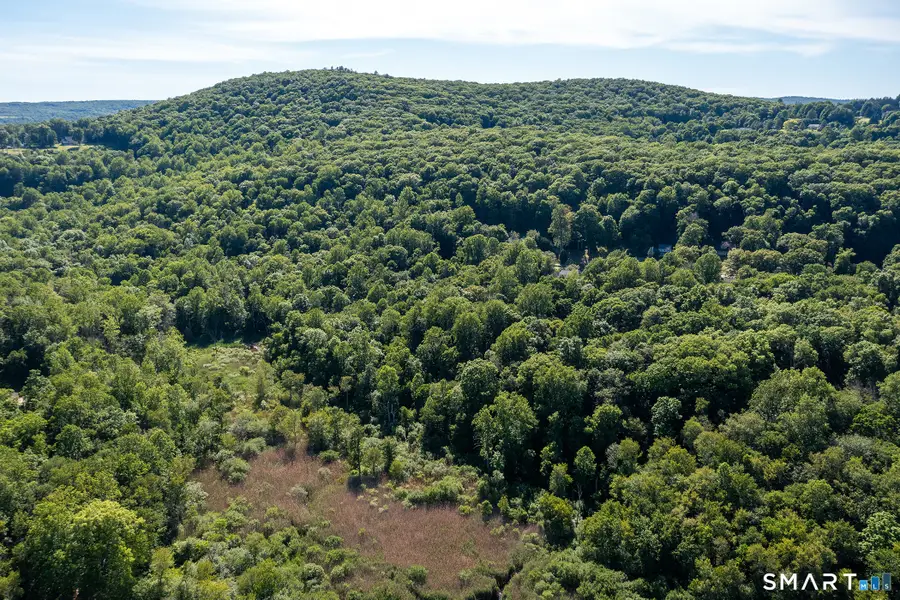 Bullymuck Road, New Milford, CT 06776 - #2