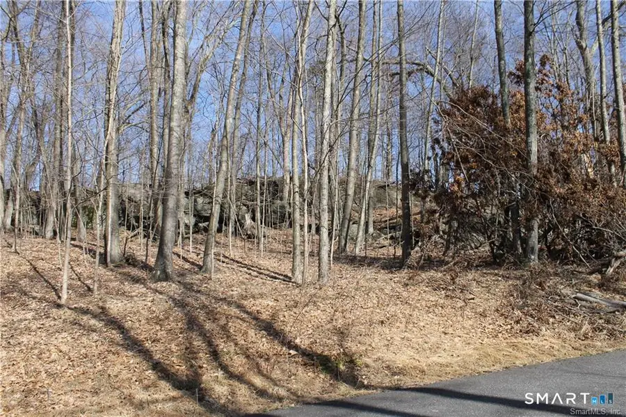 6 Alfredson Lane, Sherman, CT 06784 - #2