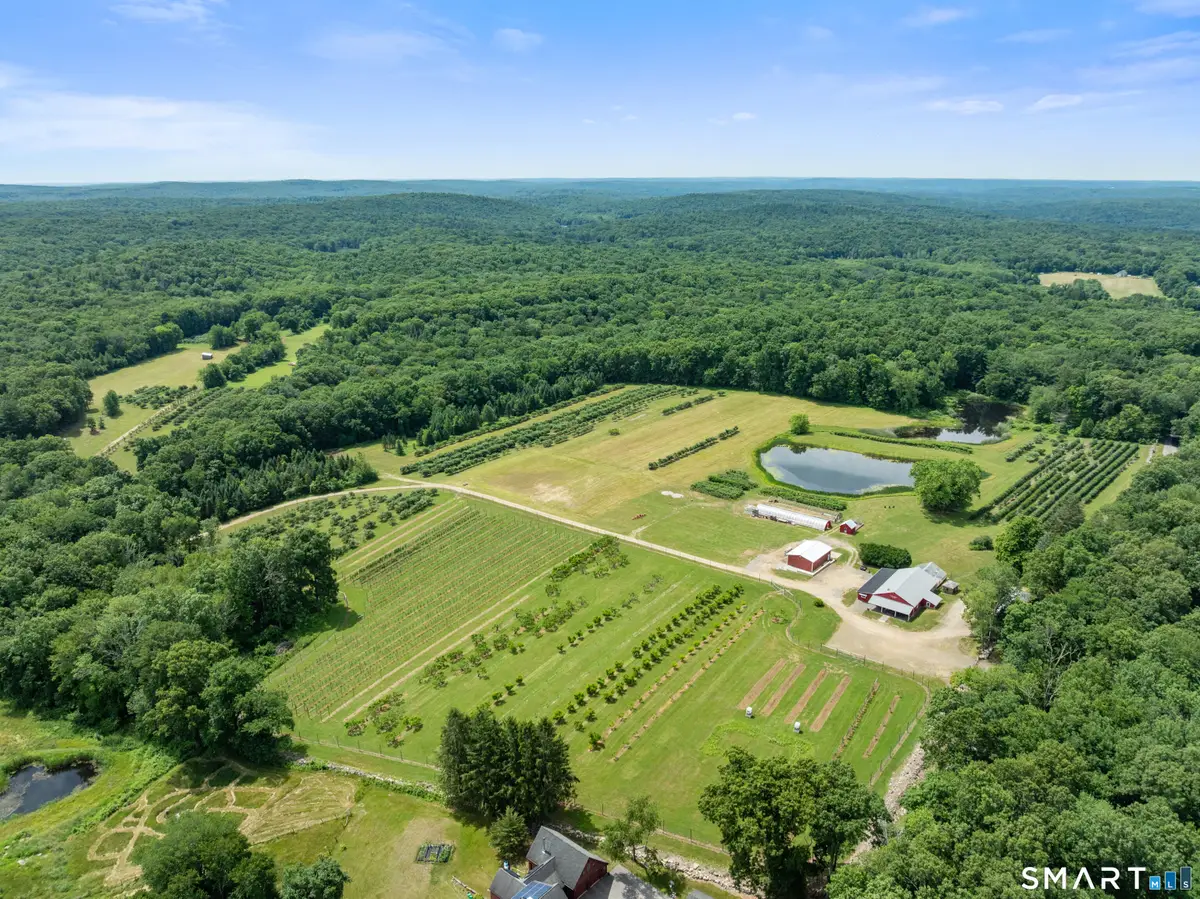 317 Bebbington Road, Ashford, CT 06278 - #1