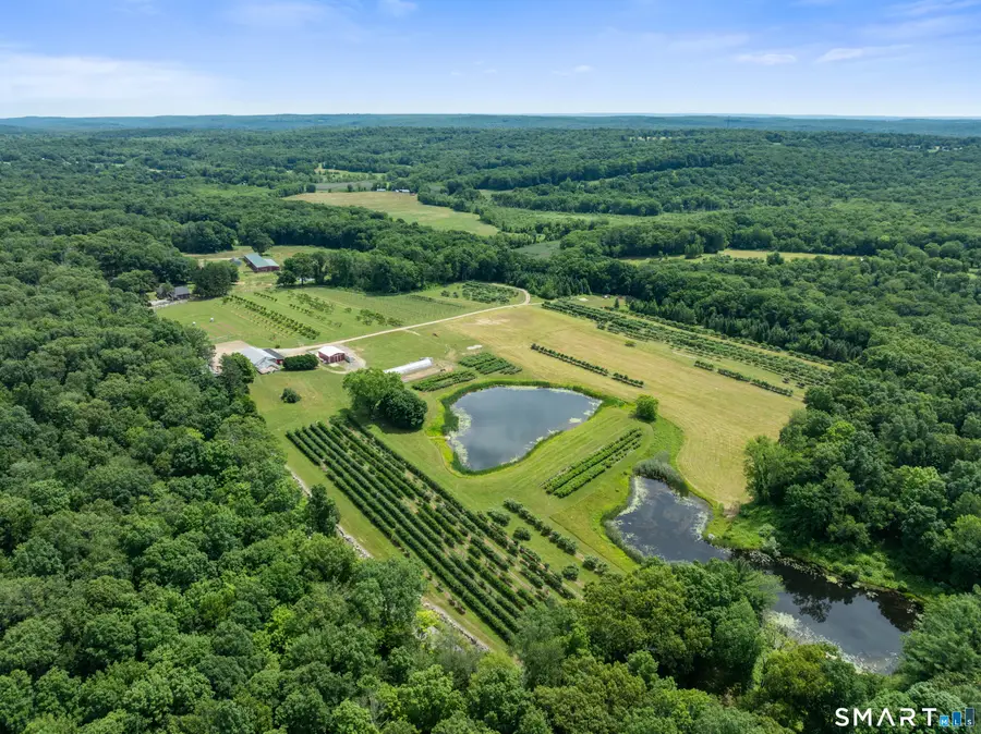 317 Bebbington Road, Ashford, CT 06278 - #2