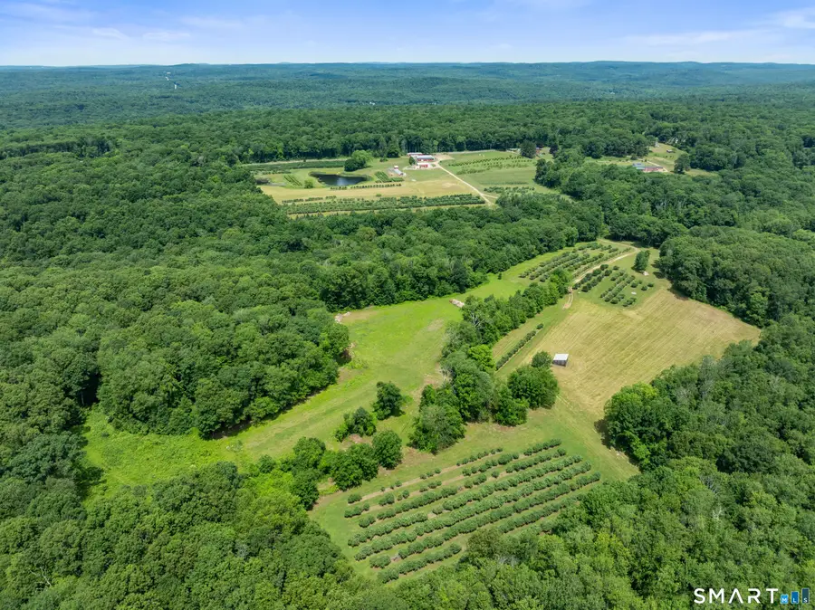 317 Bebbington Road, Ashford, CT 06278 - #3