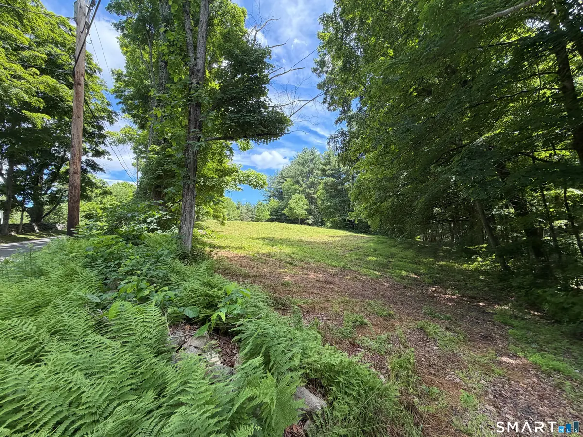 133 Painter Hill Road, Woodbury, CT 06798 - #1