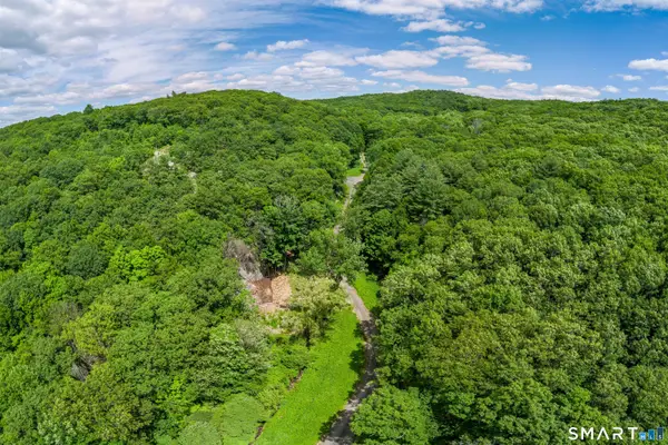 Ives Court, Ridgefield, CT 06877
