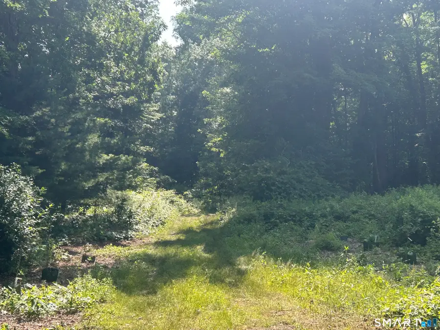 226 Goose Lane, Tolland, CT 06084 - #2