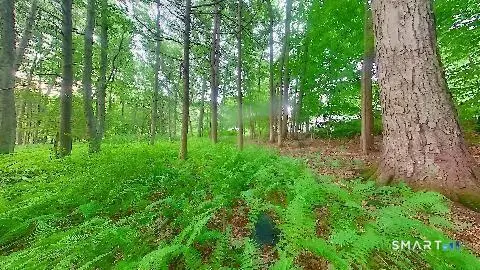37, 39, 41 Verville Road, Avon, CT 06001 - #2