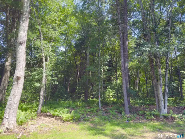 Collelo Avenue, Plainfield, CT 06354