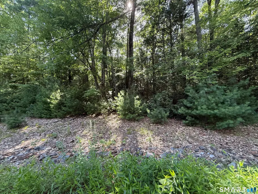 Tayler Trail, Woodstock, CT 06281 - #2
