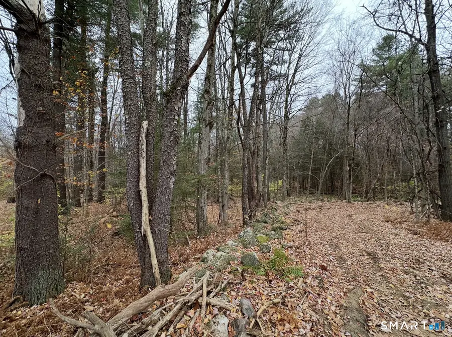 Center Street, West Hartland, CT 06027 - #3