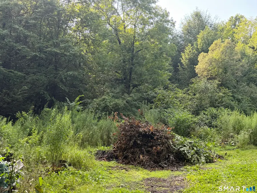 Wheeler Road, Litchfield, CT 06759 - #2