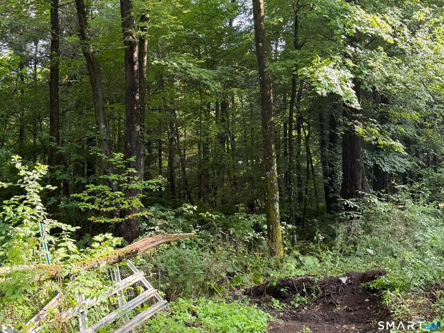 Wheeler Road, Litchfield, CT 06759 - #3