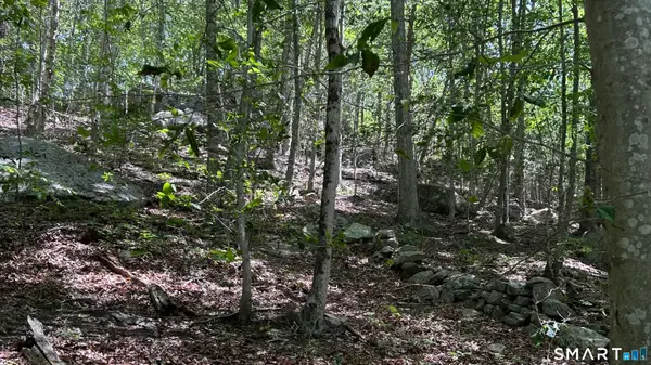 0 Norwich Salem Road, East Haddam, CT 06423