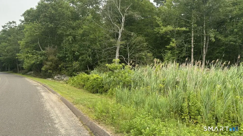 195 Silver Springs Drive, Haddam, CT 06441 - #1