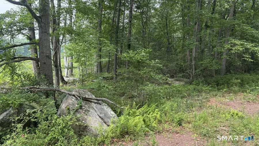 195 Silver Springs Drive, Haddam, CT 06441 - #3