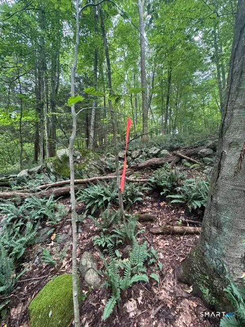 Storrs Road #LOT 32, Mansfield, CT 06268 - #2