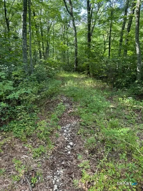 Spectacle Ridge Road, South Kent, CT 06785 - #3