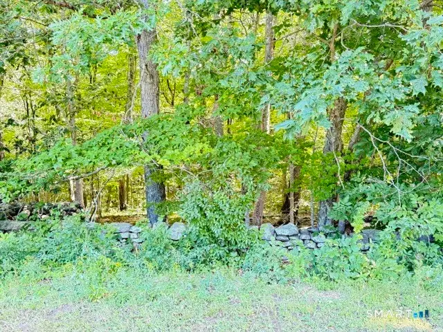 Beaver Dam Road, Killingworth, CT 06419 - #1