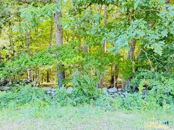 Beaver Dam Road, Killingworth, CT 06419