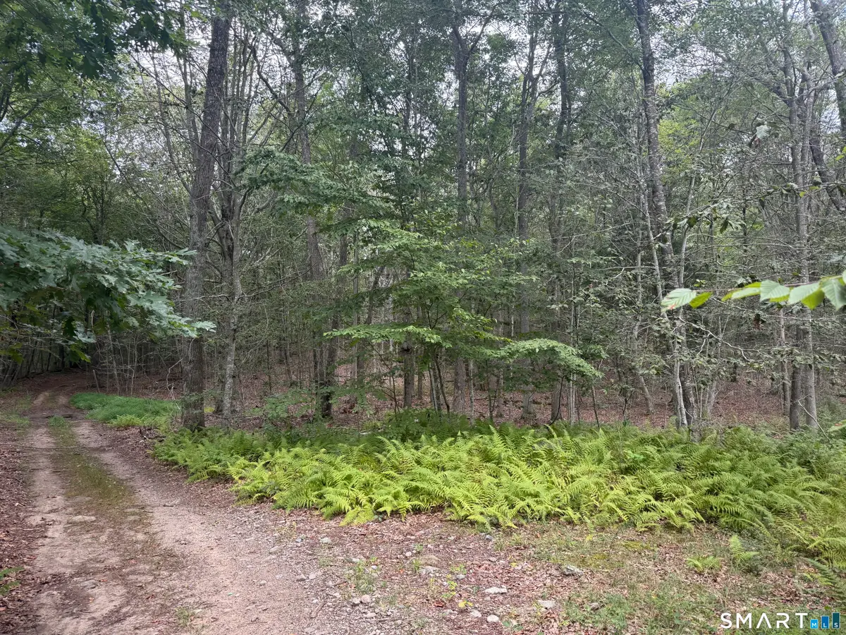 lot 29 Route 32, Franklin, CT 06254 - #1